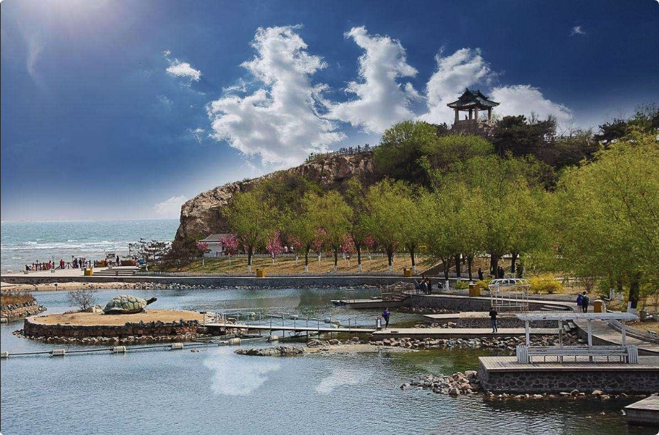 2025年9月东胜民达煤矿粉煤价格调整！你注意到了吗？